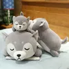 Bonito gordo shiba inu cão de pelúcia brinquedo enchido macio kawaii animal bonecas desenhos animados travesseiro bonito presente para crianças crianças crianças de boa qualidade 210728