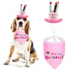 2Pcs/Set Pet Dog Birthday Scarf & Hat Bibs Decoration Pho-tography Props Head-wear Cap Collars Neckerchief Costume Accessories