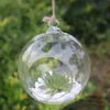 Vaser 6810 cm Clear Glass Ball Globe Shape Terrarium Flower Hanging Planter Container Landscape Ornament Garden Decor2013348