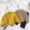 Vêtements pour enfants printemps et automne garçons et filles cardigan pull manteau pull coréen enfants vêtements d'extérieur à simple boutonnage 211106