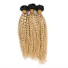 Blonde Ombre Brésilienne Cheveux Weave Bundles 3Pcs Lot Crépus Bouclés 1B 613 Blonde Ombre Vierge Trames de Cheveux Humains 1030quot Mixe7305174