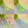 4 Color 3D Stars Luminous Fluorescent Wall Stickers With Adhesive Baby Kids Rooms Decoration 3cm 268 U2