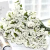 Decoratieve bloemen kransen 20 stks wit licht paarse kleur gedroogd vergeet-mij-niet-niet bloembos natuurlijke planten kerstbruiloft decoratie