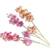 Dekorative Blumen Kränze 5P Künstliche Schmetterling Orchideen Blume Stiele Real Touch 10 Köpfe Phalaenopsis Für Hochzeitsmittelstücke Floral D