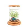 1PCS Mini Glass Bamboo Base Tank Rotate Decoration Fish Bowl Ecological Bottle Aquarium Accessories274q
