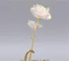 24K feuille d'or Rose fleur LED galaxie lumineuse fête des mères saint valentin cadeau cadeaux de mode CG001