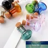 Mini bottiglie colorate in vetro Bottiglie carine con bottigliette in sughero regalo Piccole fiale in vasetti Mix 9 colori