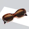 Einfache Ovale Runde Mode Frauen Sonnenbrille Große Kunststoff Solide Rahmen Unisex Coole Schwere Gläser 5 Farben Großhandel