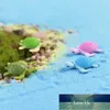 4 pcs mini tartaruga tartaruga miniatura fada jardim decoração DIY boneca casa terrário micro paisagem decoração