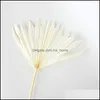 Decorative Flowers & Wreaths Festive Party Supplies Home Garden Natural Dried Flower Cattail Fan Plants Nordic Big Leaf Sunflower Palm Decor