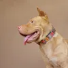 MuttCo varejista artesanal à prova de tempo de pet -name de cães de cães, o estilo étnico criativo boêmio 5 tamanhos udc050 y200515