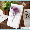 Cartes Événement Fournitures De Fête Maison Jardin1Pcs Anniversaire Fleurs Séchées Invitations Cartes Postales Fête De Mariage Festival Carte De Voeux1 Drop Deliv