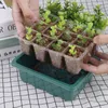 Sadzonka roślinna Tray Wzrost Greenhouse Mini Incubato Doniczki PP 12 Otworniki Przedszkole wielokrotnego użytku Uprawy Regulowany Zdrowy Garden Start 210615