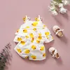 Baby Girl Clothes For Borns Toddler Kids Girls Animal Cartoon Print Tiered Sun-Top Shorts Outfits Set Clothing Sets