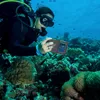 Estojo de mergulho universal 50 pés 15 m à prova d'água para mergulho com snorkel para fotografia subaquática para 4,7 a 6,9 polegadas A maioria dos Samsung iPhone Huawei XiaoMi MOTO LG