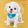 RC Robot Dog Programmerbar Röststyrning Sjungande Walking Remote Control Electronic Pets Leksaker för barn