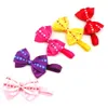 100pc Lot Butterfly Pet Cat Puppy Dog Bow Tie Grooming Bowknot Pet Associory PE172513