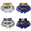 shorts pretorian mma