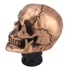 Universal Skull Head Shape Manual أو Automatic Gear Shift Fit لجميع CAR4043385