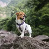 Truelove köpek yakalı yumuşak güvenlik, kayış kayışı için yürüyüş çok kullanımlı destek odbaskowe y200515
