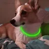 LED Glowing Dog Colline USB Carregamento Sparkle Pet Collar Night Luminosos Cães Recarregável Noites Segurança Piscando Colar 8 Cor Atacado B30