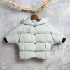 Cappotto Giacche per bambini Ragazzi Ragazze Inverno Piumino Bambino Bambini Capispalla caldo Tuta da neve con cappuccio Soprabito Abbigliamento 2-6 anni