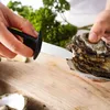 Rostfritt stål Oyster Kniv Grill Seafood Kök Tillbehör Gadgets Form för Matlagning BBQ Tillbehör Köksartiklar Knivar WLL254