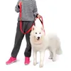 Dog Collars & Leashes Double Trickness Nylon Reflective Pet Leash For Dogs Walking Training Traction Rope Cats Harness Strap Belt