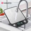 food digital weight scale