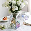 Flerfärgad glasvase för vardagsrum Torkade blommor Nordic Transparent Europe Home Decoration Flower Tabletop Vases 211215
