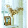 Real Dried Flowers Pampas Grass Large Decor Natural Plants Wedding Flowers Bouquet With Plastic Vase For Home Decor Good Quality 210925