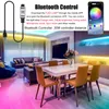 Şeritler RGB LED Işıklar Bluetooth Kontrolü USB 5V Beyaz Esnek Lamba Bandı Diyot Festivali Fita Yatak Odası Tira Luces TV Masa Luz8632567