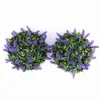 plantes suspendues fleurs violettes