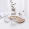 Mini Transparent Glass Vase Living Room Flowers Arrangement Decoration Hydroponic Dried Flower Bottle Creative