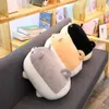 40 cm Sevimli Yağ Shiba Inu Köpek Dolması Peluş Bebek Anime Çocuk Oyuncak Action Figure Kawaii Yumuşak Hayvan Corgi Chai Yastık Doğum Günü Hediyesi Q0727