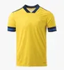 Soccer Jerseys Ibrahimovic Kallstrom Forsberg uomo adulto + kit kit camicia da calcio calcio