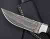 Sho Straight Fixed Blade Kniv Damaskus Blade Ebony Handle Tactical Rescue Pocket Jakt Fiske EDC Survival Tool Knives A438