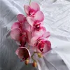 Decorative Flowers & Wreaths Latex Real Looking Orchid Branch Beautiful Artificial For Garden Decor Flores Artificiales White Orchids