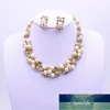 Simple Imitation Pearl Elegant Bridal Jewelry Crystal Necklace Earrings for Girl Party Gift Rhinestone Engagement Jewelry Sets Factory price expert design