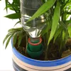 Watering Equipments Vacation Plant Waterer Keramische Zelf Watering Spikes Automatische bloemen Druppelirrigatie Staksysteem
