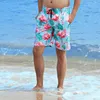 Herren-Shorts, Liebhaber, lässige Badehose, schnell trocknende, bedruckte Strandhose, wilder Trend, Sommer, Netzfutter, Surfen