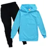 Całe dostosowanie dzieci bawełniane bluzy i spodni 2pcs chłopcy dziewczęta ubrania mody ustawione dla dzieci jogging Suit219o5256133