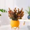 Planters & Pots Small Ceramic Flower And With Gold Metal Stand 4 Inch Coloful Cactus Succulents Potted Indoor Planter Pot Gift2983