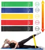 elastic exercise equipment