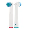 Bristle Tooth Brush Heads Toothbrush Replacement Support OEM Order Dupont Nylon CE ROHS FDA Packs Handle EB28-P Top