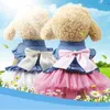 Koronki Jean Dog Sukienki dla małych psów Chihuahua Summer Puppy Party Dress Pomorski Princess Tutu Shih Tzu Yorkshire Pet Odzież