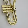 Högkvalitativ trumpet Curved Bell BB Tune Brass Plated Professional Musical Instrument med väskor och munstycke Tillbehör