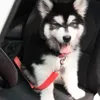 車のシートベルトを取り付けることができる車の内側の犬のシートベルトのひも