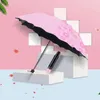 umbrella shelter