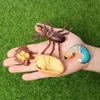 Simulation Animals Ladybug,Butterfly,Frogs,Turtle,Ant,Mosquito,Chicken Growth Life Cycle Figurines Model Action Figures Toy C0220